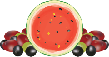 Ezzies' watermelon flavor illustration